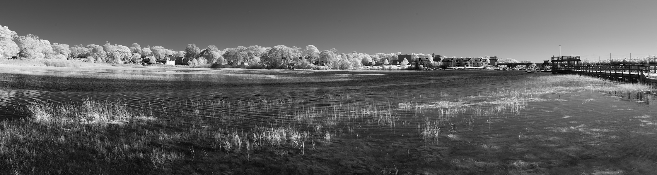 Panoramic Infrared Photo of Tidal Wetland at High Tide.
